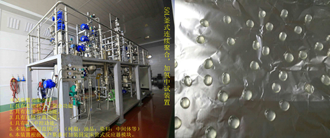 祝賀國(guó)內(nèi)首套釜式連續(xù)加氫中試成套裝置一次出料成功！.jpg